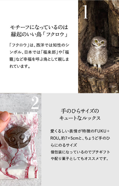 モチーフになっているのは縁起のいい鳥「フクロウ」