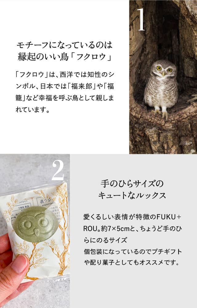 モチーフになっているのは縁起のいい鳥「フクロウ」