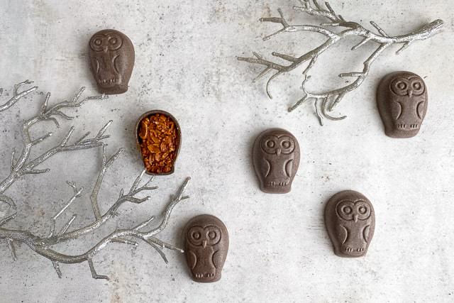 “チョコフクロウのフロランタン"